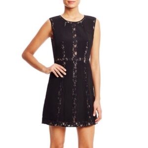 BCBGMaxAzria Black Lace Mini Dress